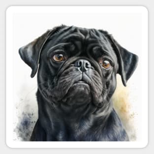 Black Pug Watercolour Style Painting Sticker